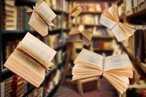 Bücher